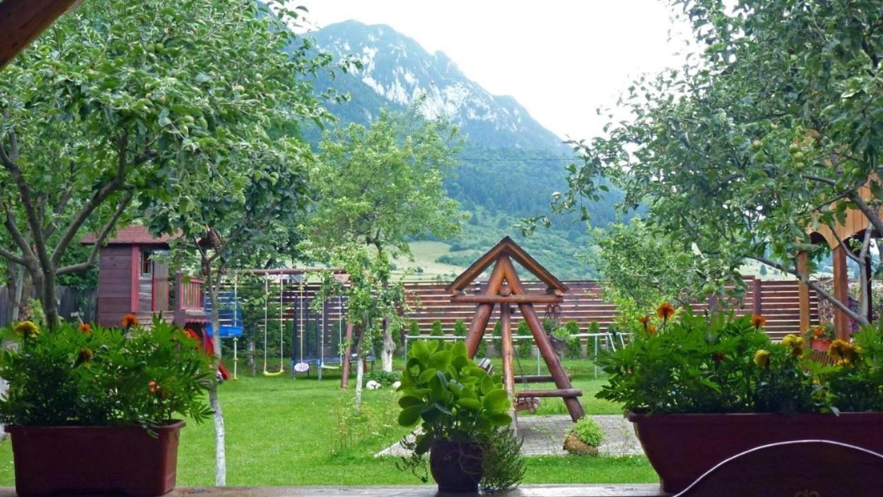 Hotel Sura Pietrei Craiului à Zărneşti Extérieur photo