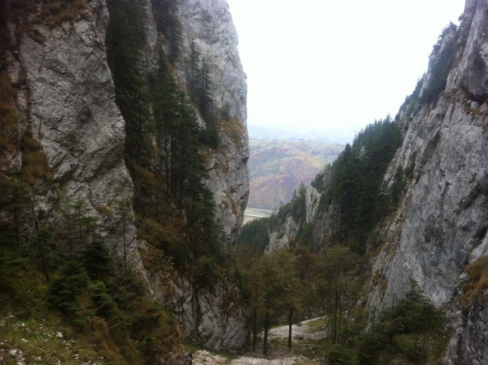 Hotel Sura Pietrei Craiului à Zărneşti Extérieur photo