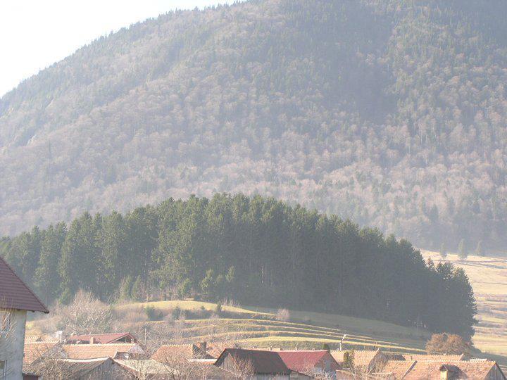 Hotel Sura Pietrei Craiului à Zărneşti Extérieur photo